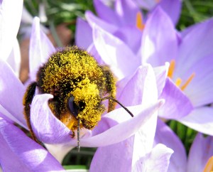 DUDE! That was some party. 