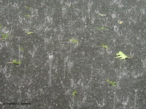 NOT what you want to see at the beach.