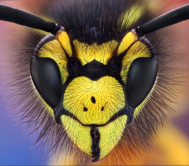 "Anybody ELSE wanna limp?" Eddie Murphy 48 Hours