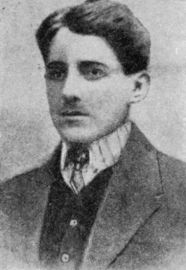 Gavrilo Princip, the man who lit the fuse.